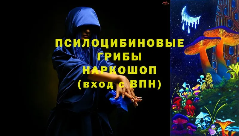 Галлюциногенные грибы Magic Shrooms  Дмитриев 